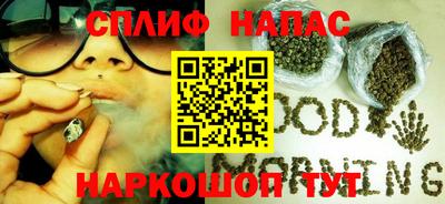 стаф Бузулук