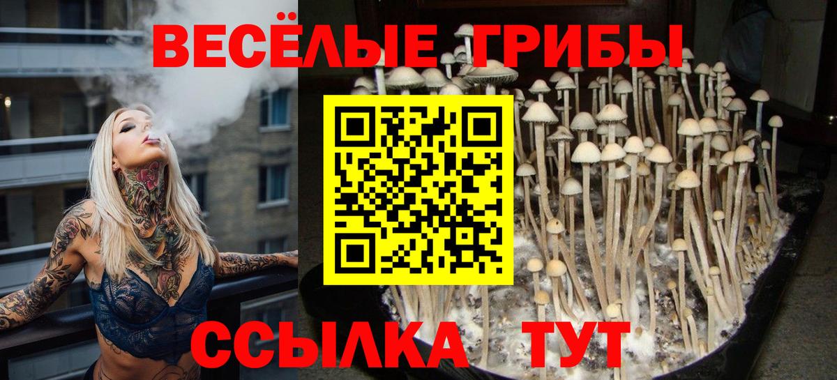 Галлюциногенные грибы Psilocybine cubensis  Псилоцибиновые грибы GOLDEN TEACHER  Тобольск  цена   Вход с VPN 